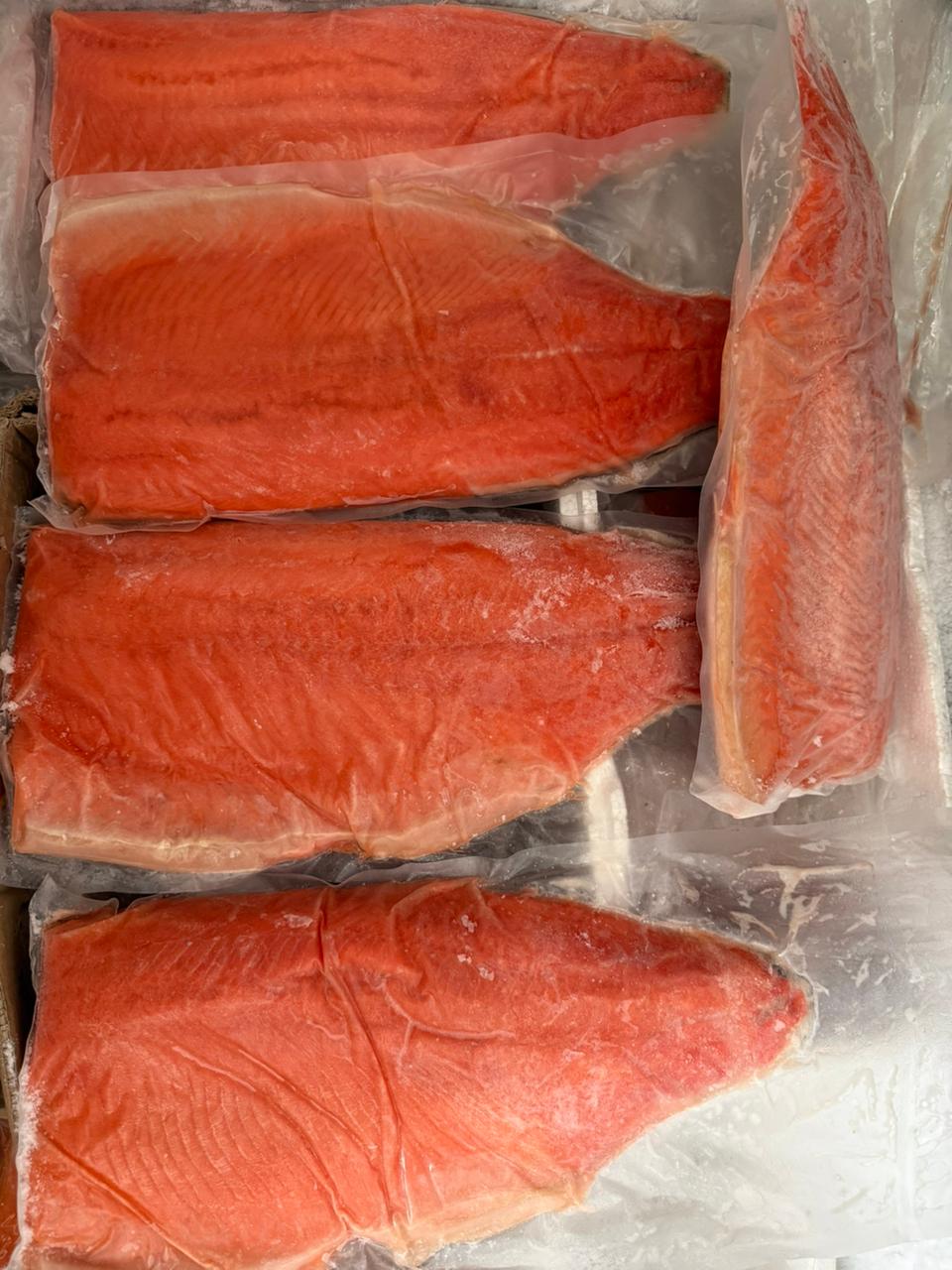 Norway salmon whole sashimi grade